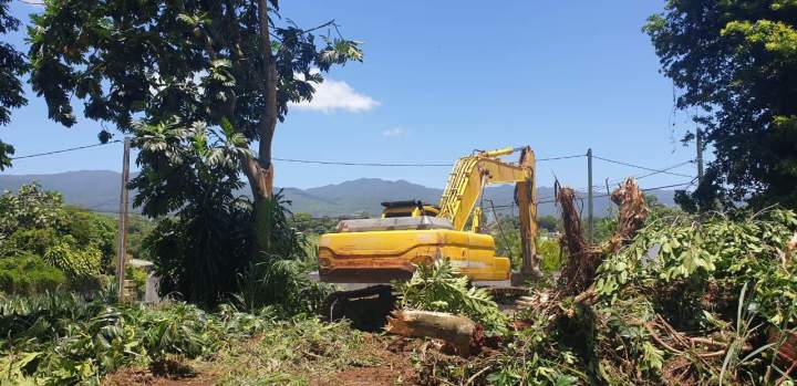 Déboisement mécanisé Guadeloupe