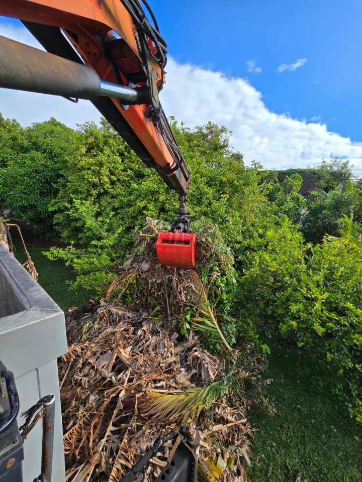 Déchets verts Guadeloupe
