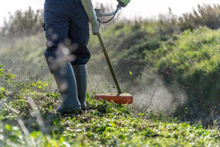 Entretien paysager Guadeloupe